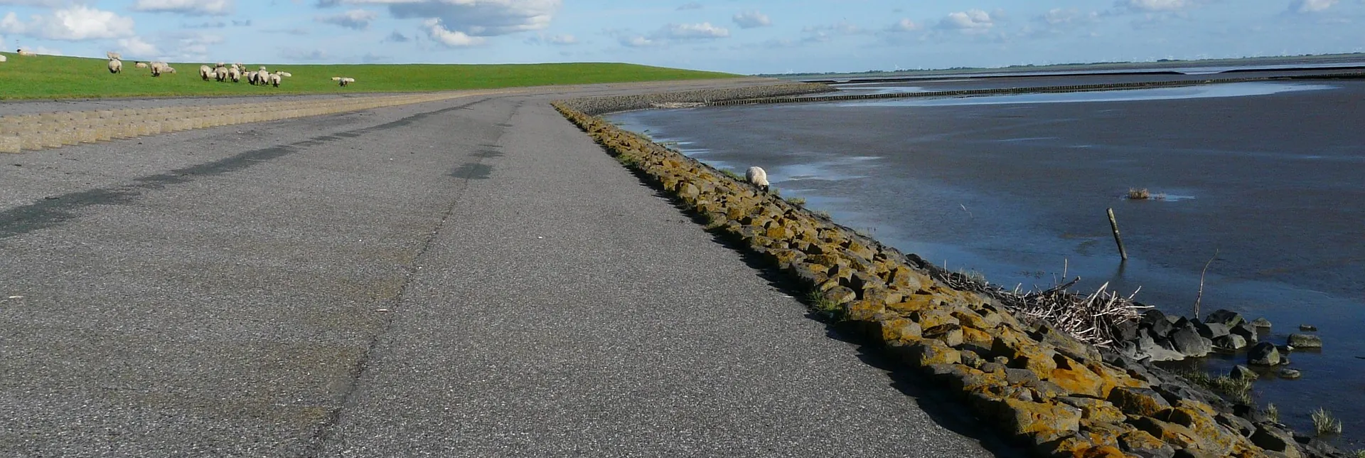 Nachhaltige Lösungen für die Nordsee